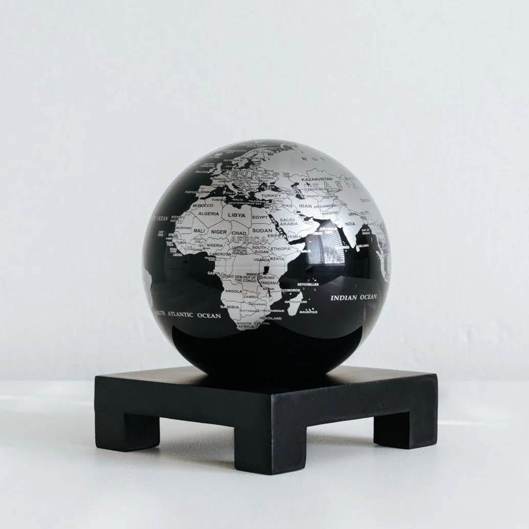 Jet Black & Silver Globe - Image 13