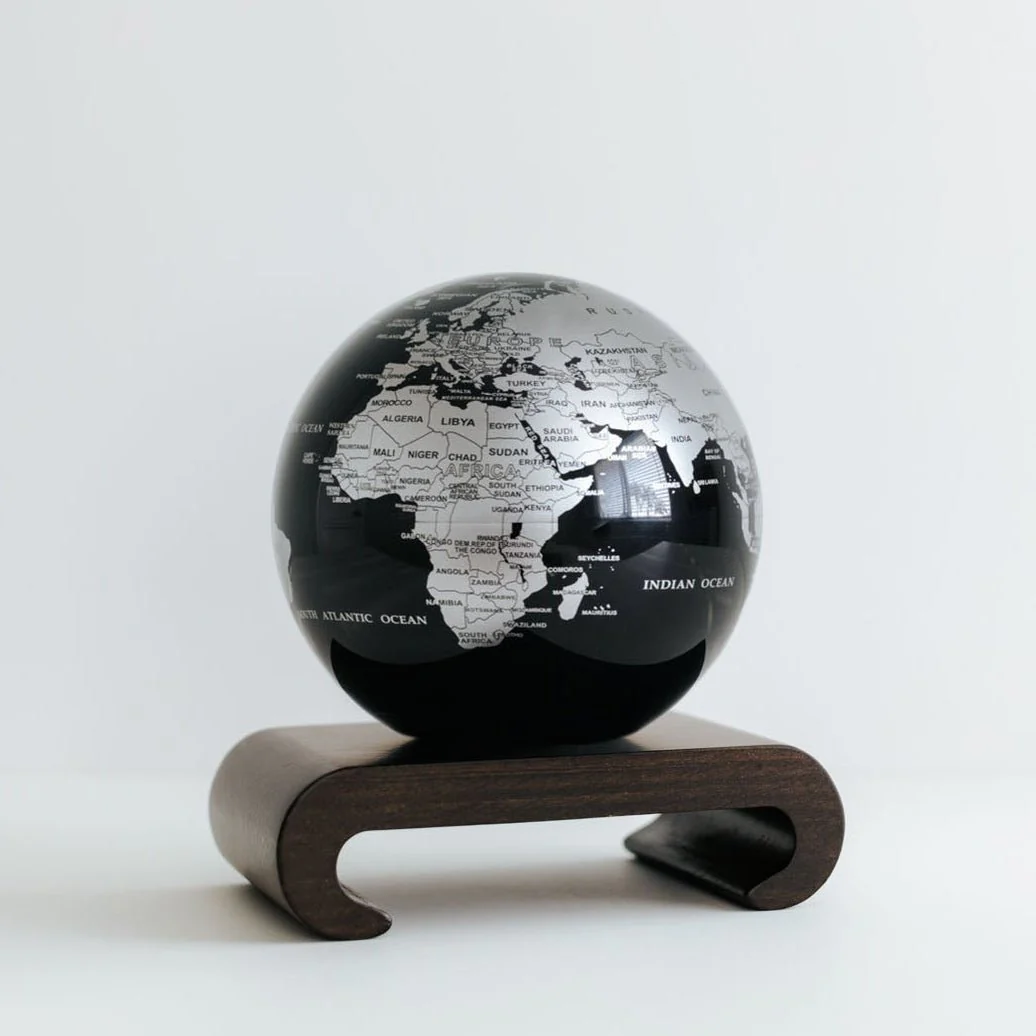 Jet Black & Silver Globe - Image 15